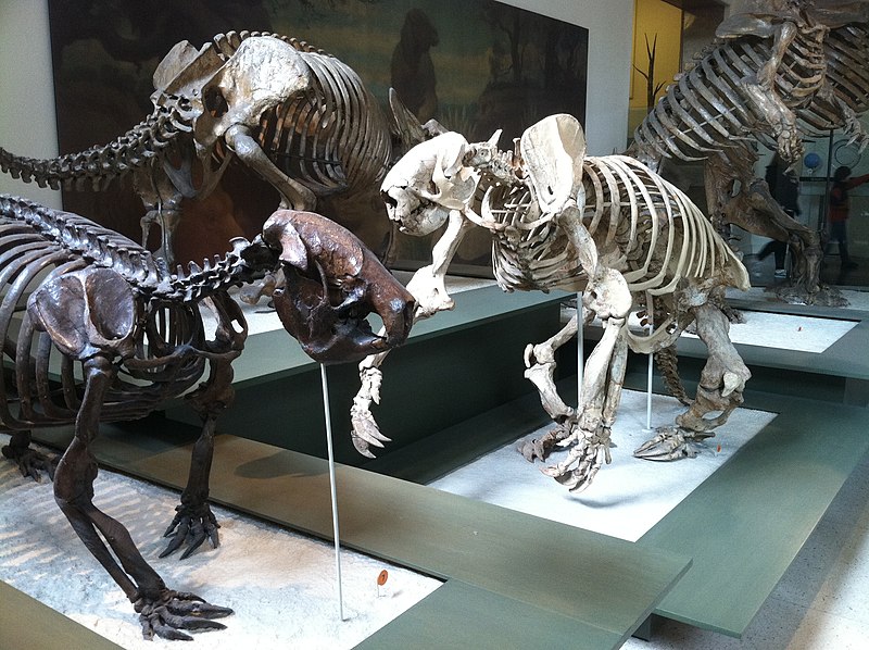 File:Ground sloths.jpg