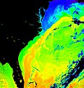 Golfstrømmen er her vist i orange og gule farver, repræsenterende en højere vandtemperatur i Atlanterhavet. Golfstrømmens første møde med den kolde Labradorstrøm ved Cape Hatteras ses tydeligt. Kilde: NASA.