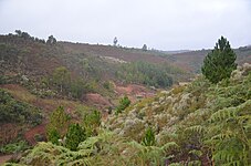 Upper land of madagascar. Photograph: Anaelramanantsoa