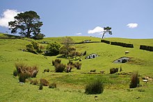 La Comté, foyer fictif des Hobbits et aujourd'hui un lieu de tourisme pour les fans du Seigneur des anneaux : le Hobbiton Movie Set (en).