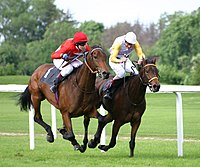 Two horses racing along a grass racetrack, the horses are side by side with both jockeys urging the horses faster.