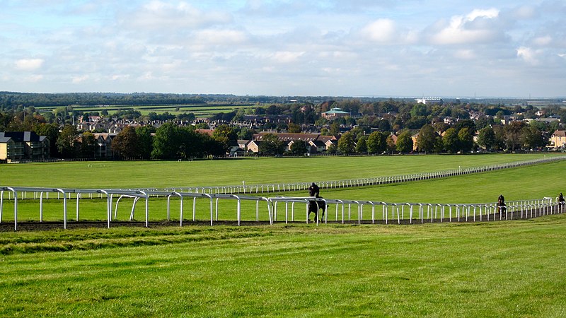 File:Horses in Newmarket.jpg