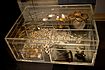 Der Depotfund von Hoxne im British Museum