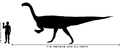 İnsan ve plateosaurus kıyaslaması