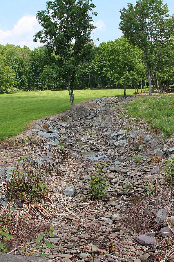 Huntington Creek looking upstream in its upper reaches