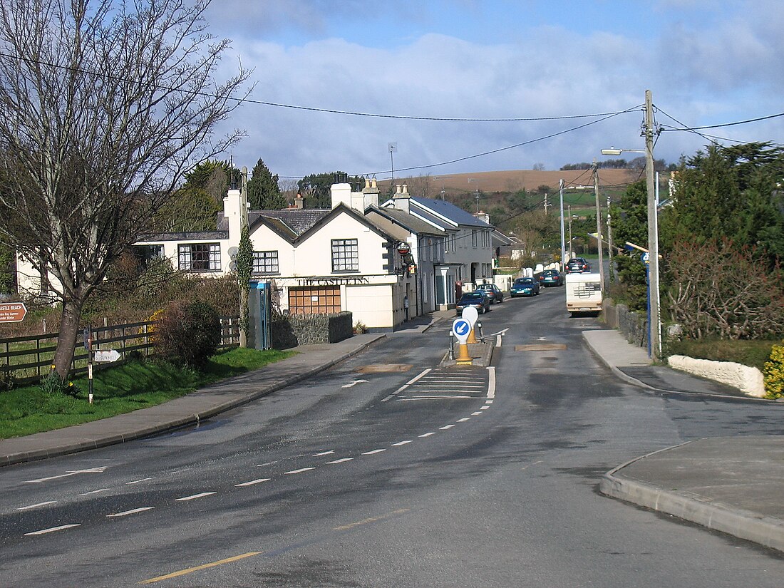 Newcastle (lungsod sa Irland, Leinster, Wicklow)