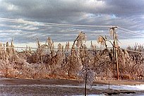 Ice Storm covered power lines and damaged trees