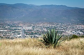 Iguala view - panoramio.jpg