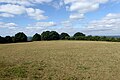 Interior of Horton Camp hillfort near Horton, Gloucestershire.