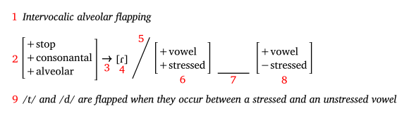 Intervocalic flapping in American English Intervocalic tapping phonological rule with annotations.svg