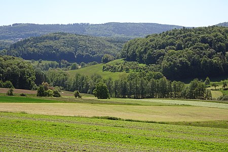 Irrbach Tal bei Unter Ostern (Reichelsheim)