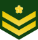 56px-JGSDF_Private_First_Class_insignia_%28a%29