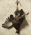 Jan Baptist Weenix: Totes Rebhuhn um 1650–1652