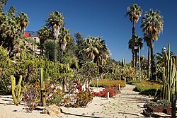 Jardins de Mossèn Costa i Llobera - panoramio.jpg