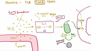 ملف:Jaundice-video-osmosis.webm