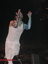 Hardy at a WWE live event in 2003 Jeff Hardyt Seattle, WA; 2003.jpg