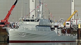 <i>Pulau Fani</i>-class minehunter Indonesian Navy mine countermeasure vessel class