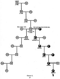 A pedigree chart from The Kallikak Family meant to show how one illicit tryst could lead to an entire generation of imbeciles. Kallikaks chart1.jpg