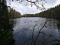 Pienoiskuva sivulle Kangaslampi (järvi Lintukankaalla Jyväskylässä)