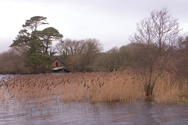 File:Kilkenny lake.jpg