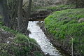 Čeština: Klapovský potok u Ptáčova, okr. Třebíč. English: Klapovský stream near Ptáčov, Třebíč District.