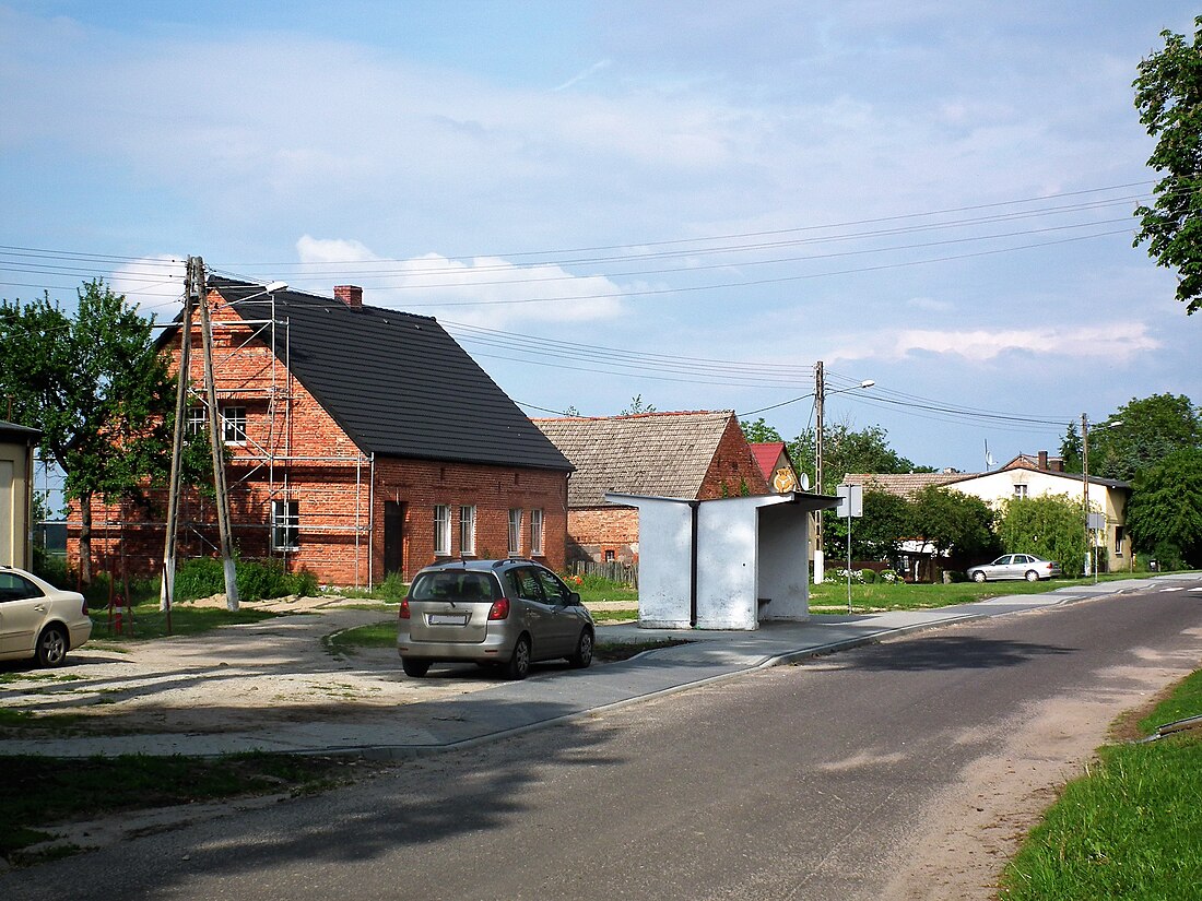 Kołki