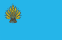 District de Kostjantynivka - Drapeau