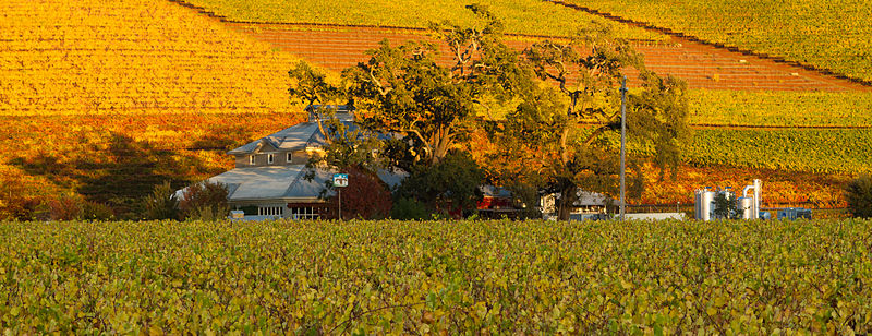 File:Kunde Winery, Fall 2012.jpg