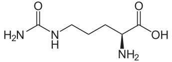 Citrulline malate for running performance from Thomas Solomon.