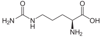 Illustrasjonsbilde av artikkelen Citrulline