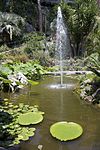 La Mortella Gardens - Forio d'Ischia