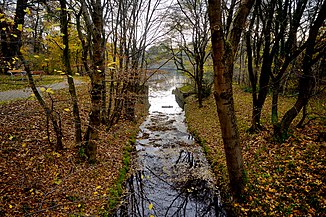 Lainzerbach kurz vor dem Lainzer Teich