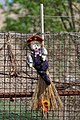 * Nomination Doll with a broom on a farm gate in Mörbisch am See, Austria --Jakubhal 15:43, 10 June 2022 (UTC) * Promotion  Support Good quality. --Steindy 15:55, 10 June 2022 (UTC)