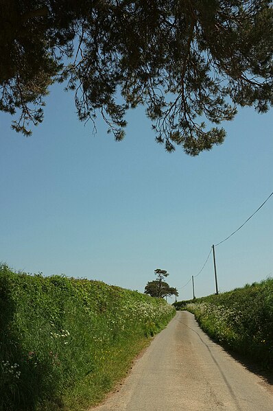 File:Lane from Dunsbeare - geograph.org.uk - 5798725.jpg