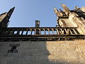 La basilique du Folgoët : détail de la façade orientale (hermines)