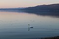 Driloni - Liqeni i Ohrit