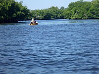 Kayaker on the Little Manatee River