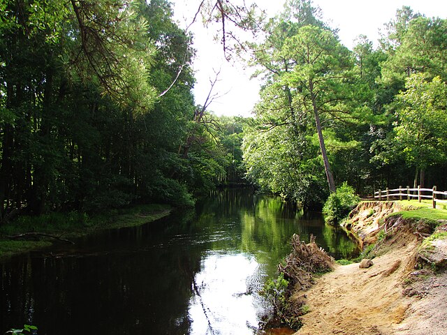 The Lumber River at Chalk Banks near Wagram