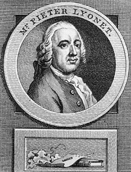 Lyonnet Pierre 1707-1789.jpg
