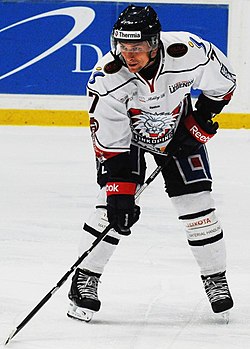 Ishockeyspelare Magnus Johansson: Karriär, Statistik, Referenser