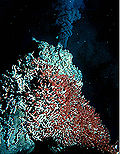 Thumbnail for Endeavour Hydrothermal Vents