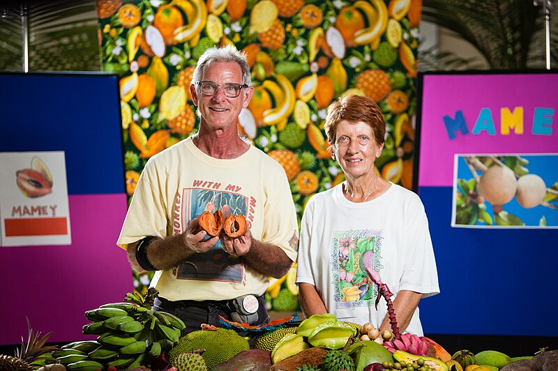 File:Mamey (Pouteria sapota) - The Fruit Hunters - Eye Steel Film.jpg