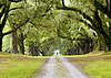 Mansfield Plantation MansfieldOakAlley.jpg