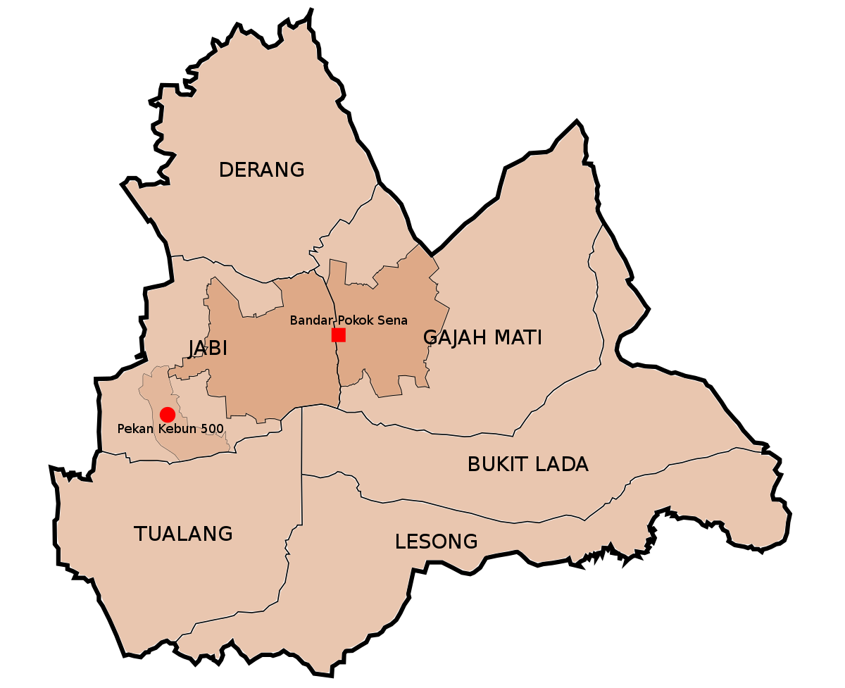 Pokok Sena Federal Constituency Wikipedia