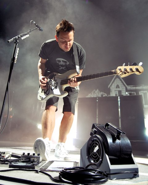 Bassist/vocalist Mark Hoppus shortly before the album's release. "I couldn't write a happy song for this record", he remarked.