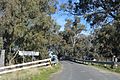 English: Matthews Bridge over the Template:Murrumbidgee River at Maude, New South Wales