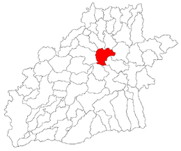 Mihăileni - Carte