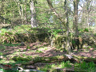 Montgreenan Castle or the Bishop's Palace. Montgreenancastled.JPG