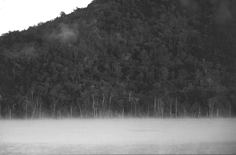 File:Morning mist Lake Tinaroo Tinaroo State Forest Atherton Tableland Queensland 1986 IMG 0016 (2).jpg