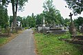 wikimedia_commons=File:Municipal cemetery in Lesko, alley in the old part 1.jpg